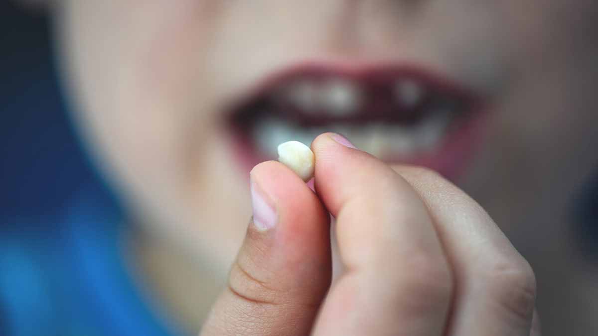 چگونه بفهمیم دندان شیری است یا اصلی
